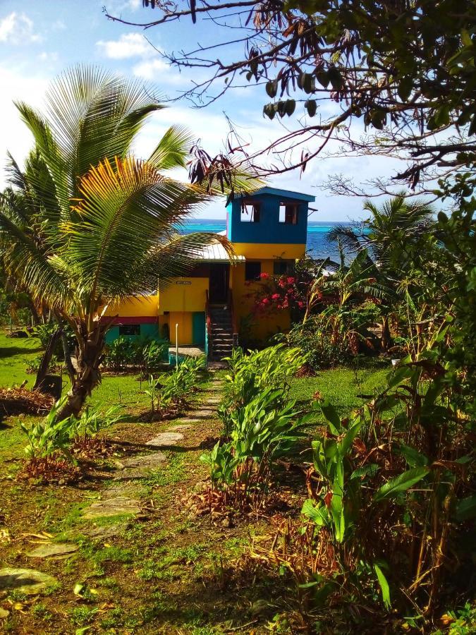 Windy View Guest House Archibolds Exterior photo