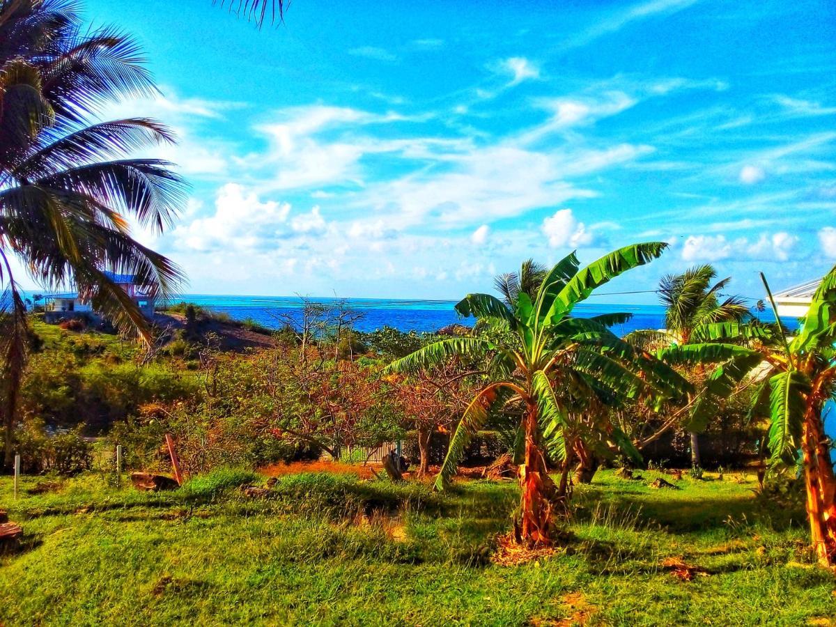 Windy View Guest House Archibolds Exterior photo