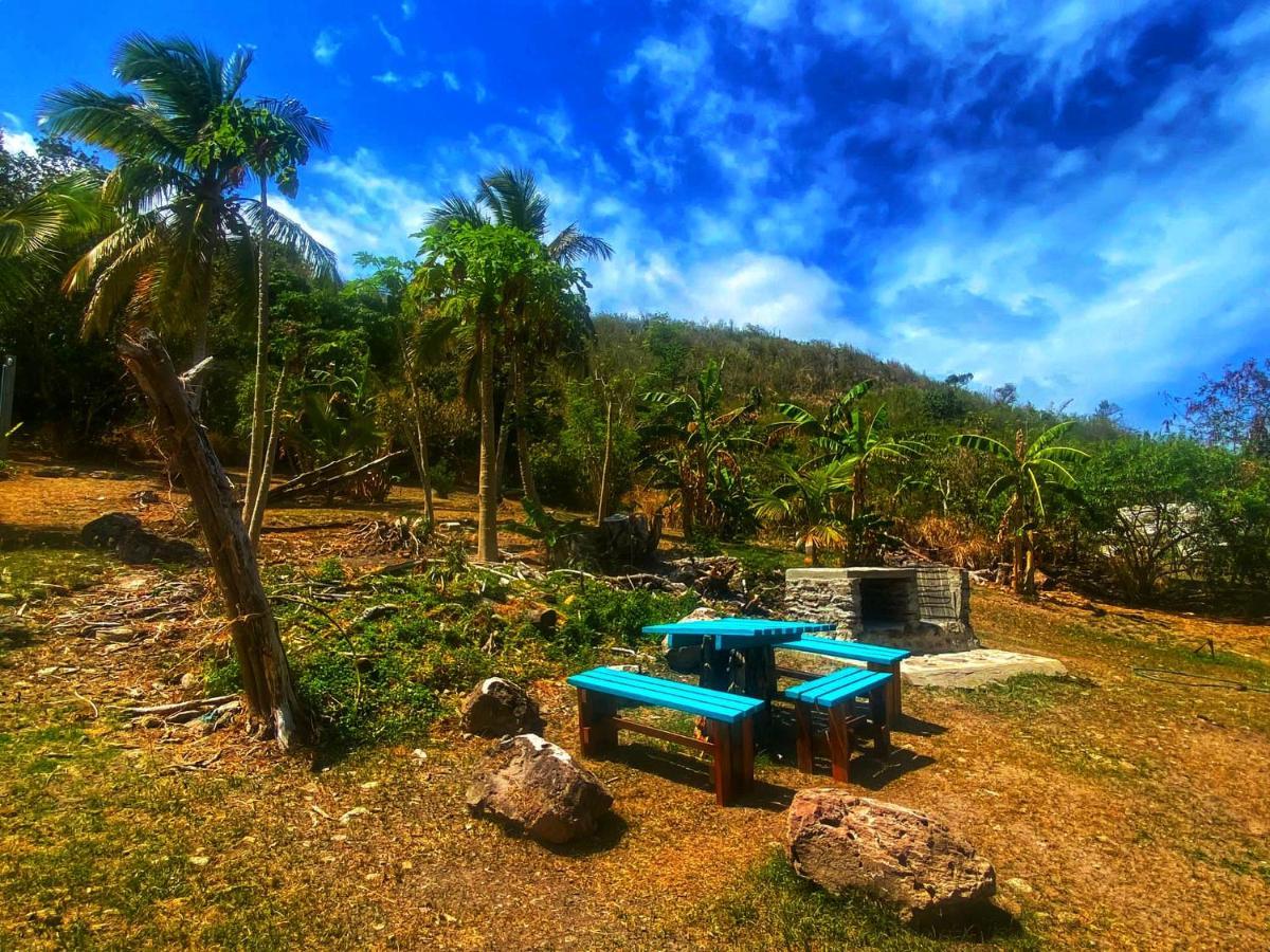Windy View Guest House Archibolds Exterior photo