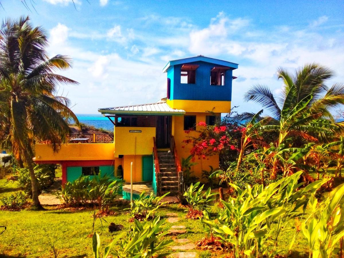 Windy View Guest House Archibolds Exterior photo