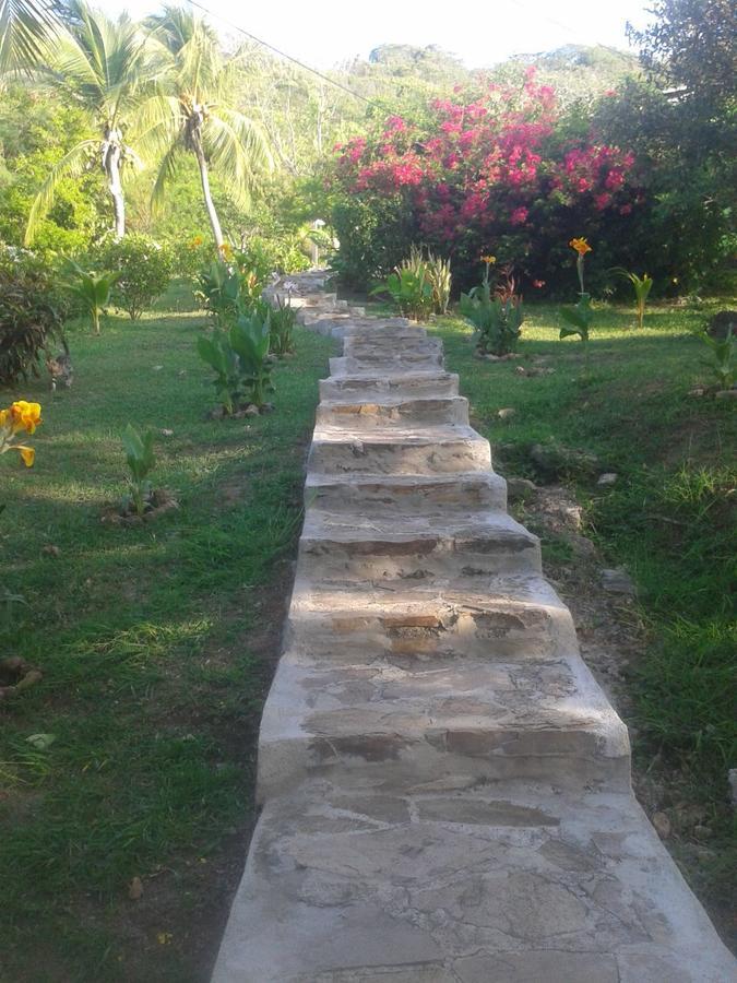 Windy View Guest House Archibolds Exterior photo