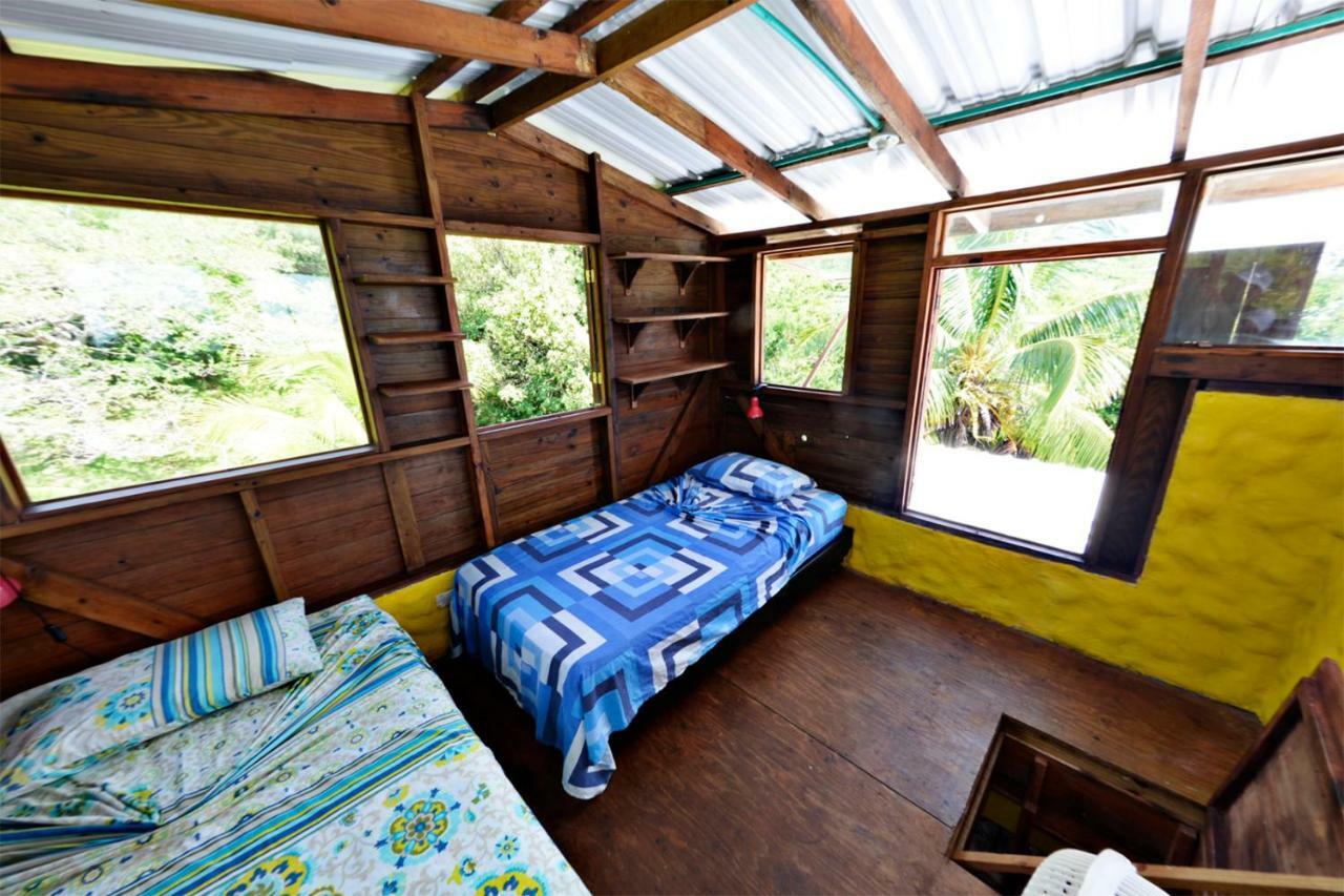 Windy View Guest House Archibolds Exterior photo